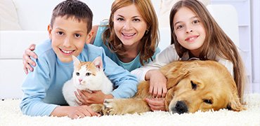 A Healthier Home Starts With Cleaner Carpets