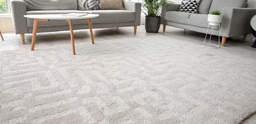 Ideal for Allergy Sufferers & Sensitive Spaces