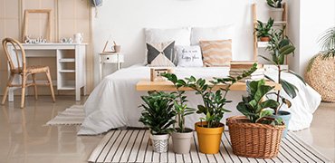 Services Offered with Eco-Friendly Products