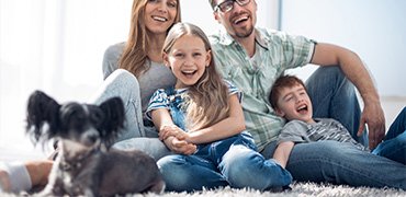 The Amazing Carpet Pet Cleaning Process